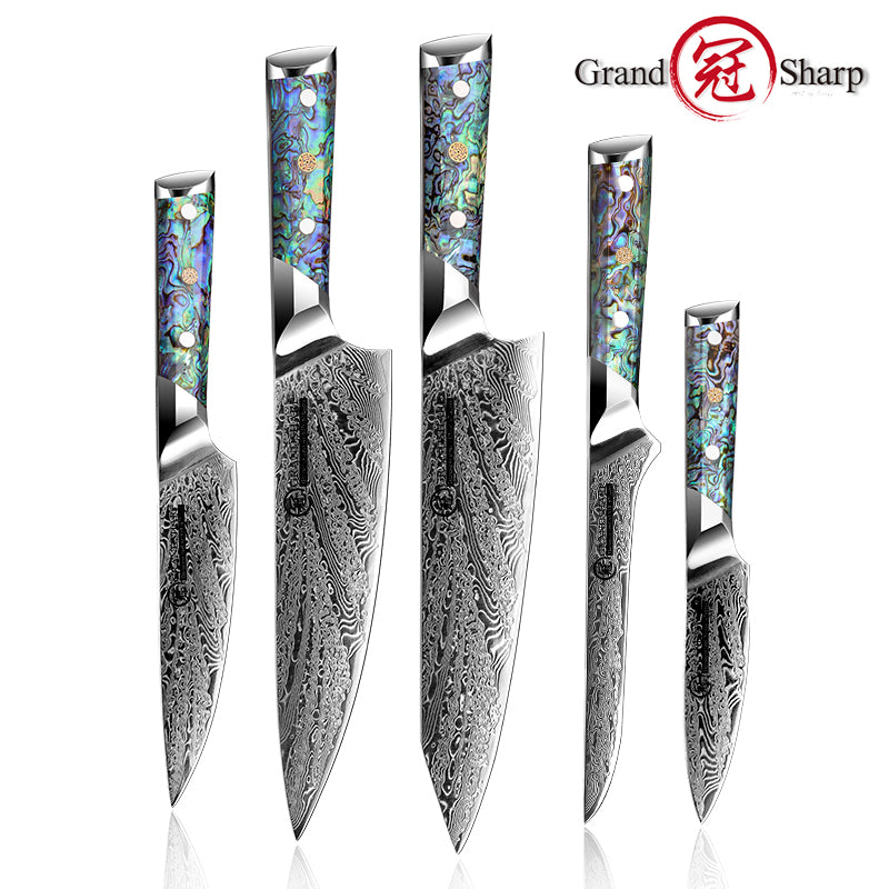 5 Pcs Damascus Kitchen Knife Set AUS10 Chef Knife Kiritsuke Boning Utility Paring Knife with Abalone Shell Handle