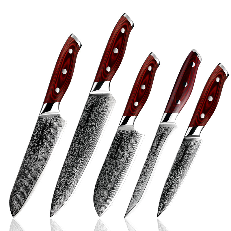 Grandsharp 5 Pcs Chef Knife Set Japanese Damascus Steel Santoku Utility Cleaver Kitchen Tools Meat Fish Vegetables Pakka Wood