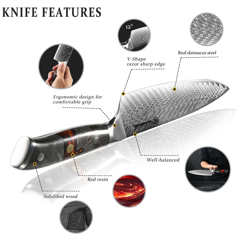 Real Damascus Chef Knives Japanese Kitchen Knives AUS-10 Damascus Steel Boning Utility Butcher Tools Fish Meat Slicer