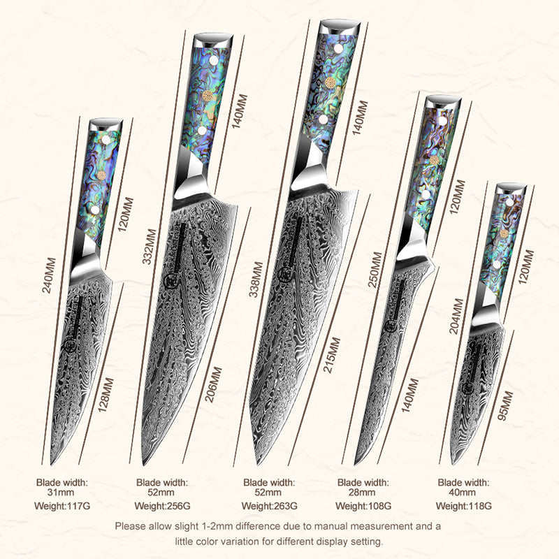 5 Pcs Damascus Kitchen Knife Set AUS10 Chef Knife Kiritsuke Boning Utility Paring Knife with Abalone Shell Handle