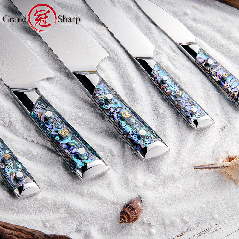 5 Pcs Damascus Kitchen Knife Set AUS10 Chef Knife Kiritsuke Boning Utility Paring Knife with Abalone Shell Handle