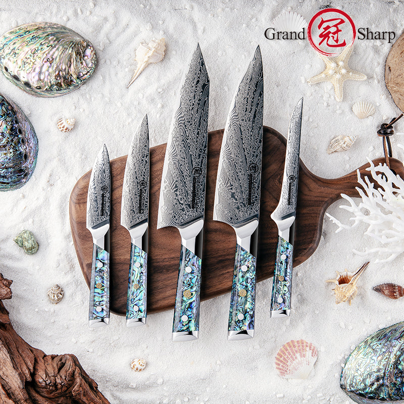 5 Pcs Damascus Kitchen Knife Set AUS10 Chef Knife Kiritsuke Boning Utility Paring Knife with Abalone Shell Handle