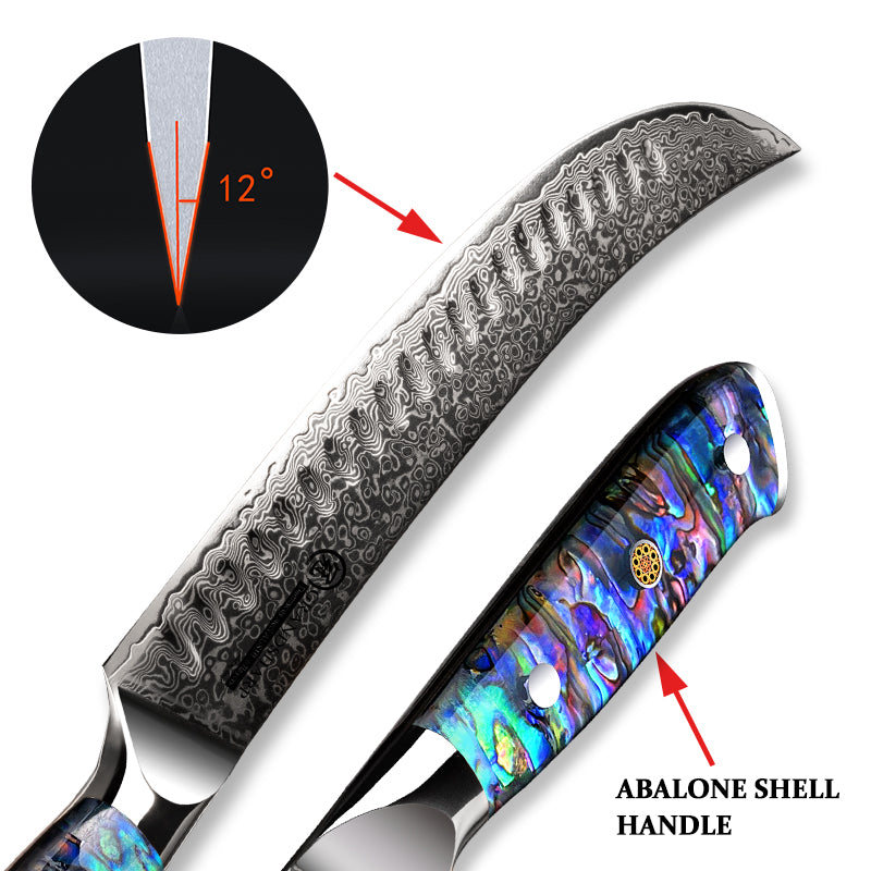 Chef Kitchen Knives 10 Inch Butcher Knife Damascus Steel Slicing Cooking Tool Full Tang Machete Cutlery Cookware PRO Abalone Shell Handle