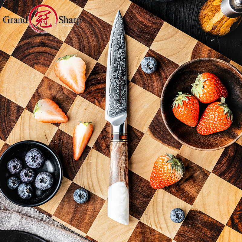 Grandsharp Professional 5 Inch Utility Knife 67 Layers Damascus Steel 10Cr15C0Mov Kitchen Knife with White Resin Handle Gift Box