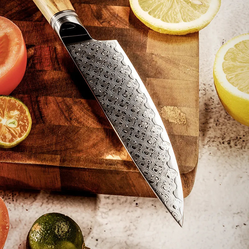 5 Pcs Japanese Damascus Steel Set Damascus AUS 10 Chef Knife Japanese Santoku Utility paring Chef Knife set