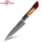 5.5 Inch Utility Knife Japanese Damascus AUS10 Steel Kitchen Knives Ultra Sharp Stainless Steel Chef Slicing Cutter