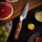 Grandsharp 3.4 Inch Damascus Chef Knife AUS10 Super Steel 67 Layer High Carbon Steel Ultra Sharp Kitchen Paring Knife