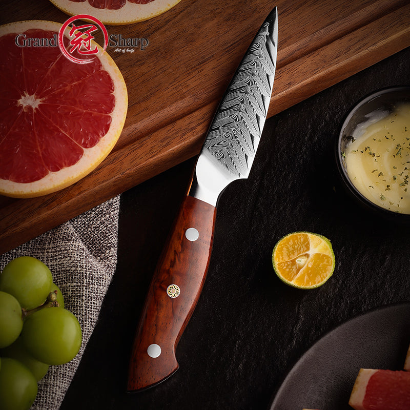 Grandsharp 3.4 Inch Damascus Chef Knife AUS10 Super Steel 67 Layer High Carbon Steel Ultra Sharp Kitchen Paring Knife