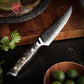 Grandsharp 67 Layers Damascus High Carbon Stainless Steel Kitchen Knife Steak Knife With Carbon Fiber and Gold-foil Resin Handle