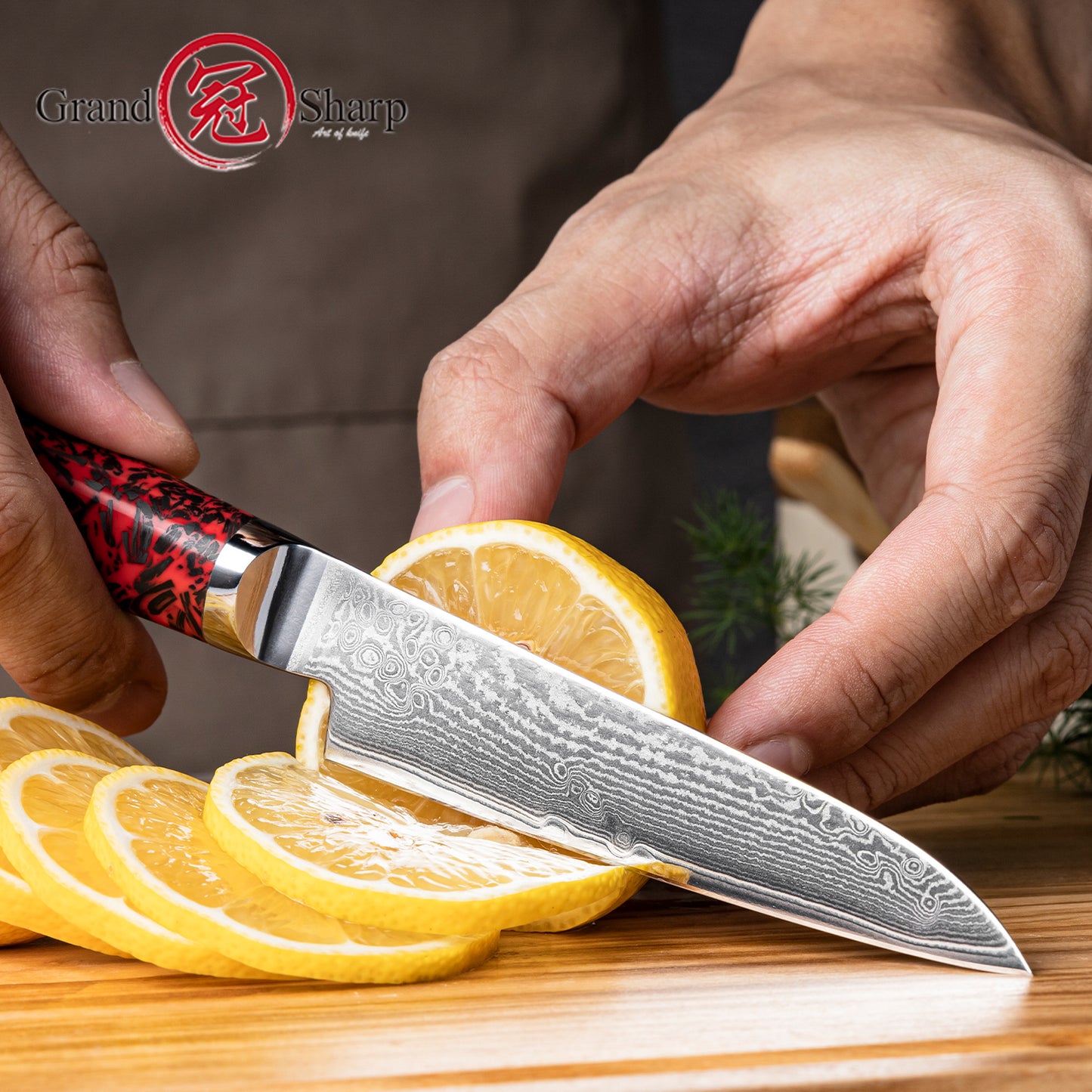 Grandsharp 4 Inch Japanese Damascus 67 Layers S35VN Steel Paring Knife Little Kitchen Paring Knife Carbon Fiber Red Risen Handle