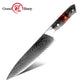 Grandsharp Damascus Steel Chef Gyuto Knife with Resin & Wood Handle