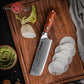 6.7 Inch Nakiri Knife 67 Layer High Carbon AUS10 Damascus Steel Kitchen Chef Nakiri Knives with Africa Rosewood Handle