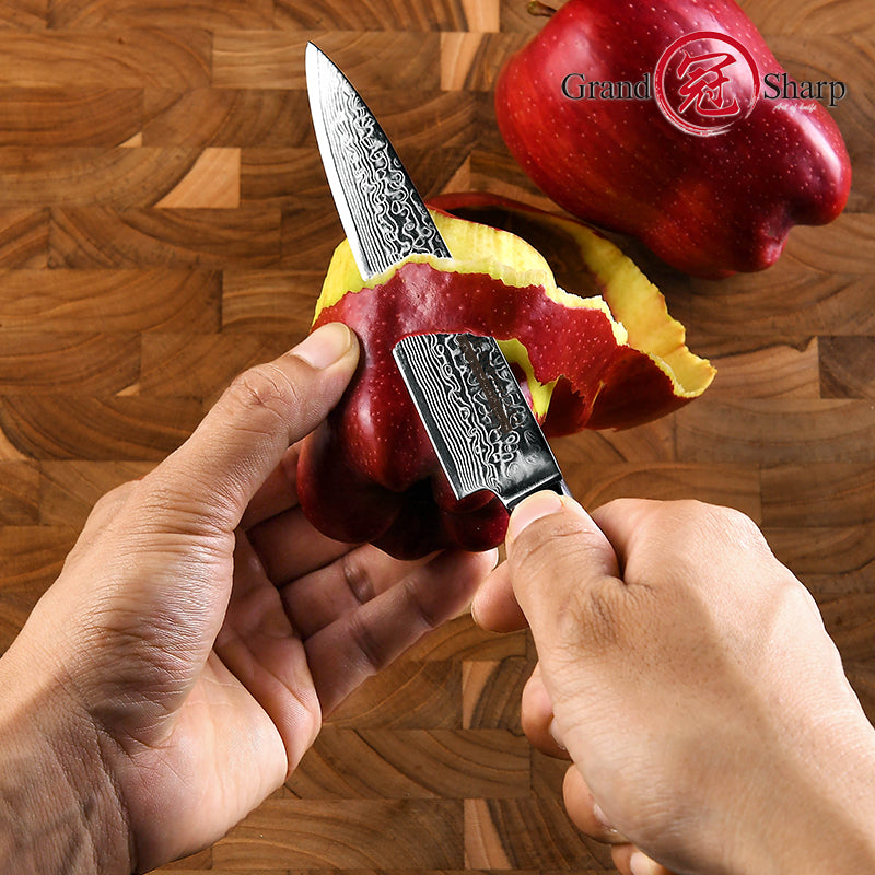 Professinal 5.3 Utility Knife 67 Layers Damascus Steel Kitchen Chef Utility Multifunction Knives With Pakka Wood Handle