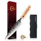 Grandsharp Premium Chef Knife Set 6 Pcs 67 Layers Damascus Steel Chef Kitchen Knives Sharpening Rod Sets with Olive Wood Handle
