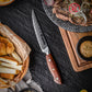 5 Inch AUS10 Super Steel 67 Layer High Carbon Damascus Chef Steel Steak Knife Dinner Table Knife Africa Rosewood Handle
