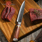 Grandsharp Professional Damascus Kitchen Chef Knife Carving Knife for Meat Fish Salmon Sashimi Cutting
