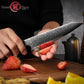 Grandsharp 67 Layers 10Cr15MoV Damascus Steel Utility Knife Kitchen High Carbon Steel Paring Knife Sandal Wood Handle