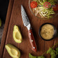 Grandsharp 3.4 Inch Damascus Chef Knife AUS10 Super Steel 67 Layer High Carbon Steel Ultra Sharp Kitchen Paring Knife