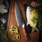 7.5" Damascus AUS10 Steel 67 Layers High Carbon Steel Razor Sharp Kitchen Best Chefs Knife with Africa Rose Wood Handle