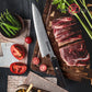 Grandsharp Kitchen Chef Knife 67-Layers Damascus Powder Carbon Steel Kitchen Knife with Ebony Handle