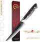 Grandsharp 67 Layers Damascus High Carbon Stainless Steel Kitchen Knife Steak Knife With Carbon Fiber and Gold-foil Resin Handle