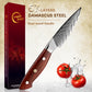 Grandsharp 5pcs Kitchen Knife Set Damascus Steel Knives High Carbon AUS10 Ultra Sharp Chef Knife Set