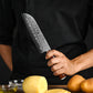 Grandsharp Custom Damascus Steel Santoku Knife
