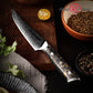 Grandsharp 67 Layers Damascus High Carbon Stainless Steel Kitchen Knife Steak Knife With Carbon Fiber and Gold-foil Resin Handle