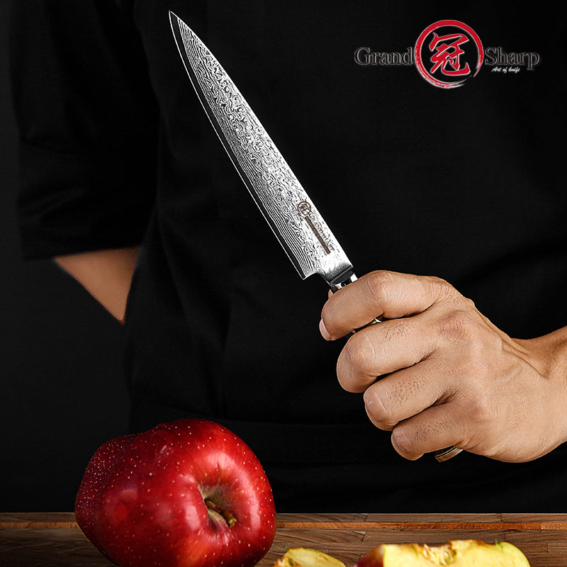 Professinal 5.3 Utility Knife 67 Layers Damascus Steel Kitchen Chef Utility Multifunction Knives With Pakka Wood Handle