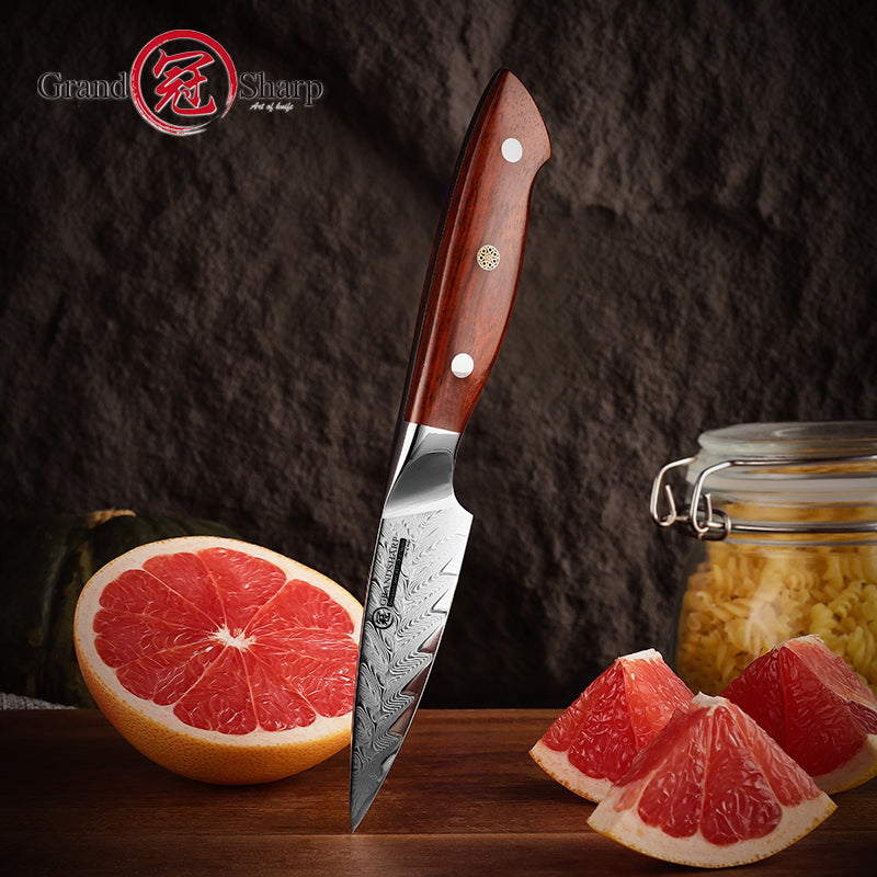 Grandsharp 3.4 Inch Damascus Chef Knife AUS10 Super Steel 67 Layer High Carbon Steel Ultra Sharp Kitchen Paring Knife