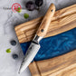 Grandsharp 3.5 Inch Japanese 67 Layers Damascus Steel Kitchen Paring Knife Small Fruit Cutting Paring Knife Olive Wood Handle