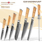 Grandsharp Damascus Steel Set Damascus AUS 10 Chef Knife Santoku Utility Paring Cleaver Kitchen Knife Collection