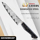 Grandsharp 5.3"Utility Knife 67 Layers Damascus AUS-10 High Carbon Steel Carbon Fiber & Gold-Foil & Resin Handle Fruit Knives