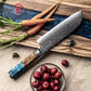 Grandsharp 7 Inch 10CR15MOV Damascus Steel Kitchen Chef Santoku Knife Cutting with Blue Resin & Solidified Wood Handle