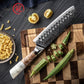 Grandsharp 7 Inch Damascus Steel Kitchen Santoku Knife 10Cr15MoV White Resin & Solidified Wood Handle