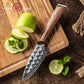 Grandsharp Kitchen 4 Inch Paring Damascus Steel Knife with Africa Rose Wood Handle
