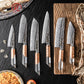 GRANDSHARP Kitchen Knife Set 1-6 Pcs 67 Layers Damascus Steel AUS10 Core Blade Transparent Resin&Wood Handle for Cooking Slicing