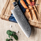 Grandsharp 7 Inch 10CR15MOV Damascus Steel Kitchen Chef Santoku Knife Cutting with Blue Resin & Solidified Wood Handle