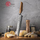 Grandsharp Kitchen Bread Knife 8.5 Inch 67 Layers AUS10 Core Damascus Steel Japanese Bread Knives with Africa Rose Wood Handle