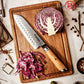 Grandsharp Professional 7 Inch Japanese 67 Layers Damascus Steel Kitchen Knife Santoku Knife With Resin and Oliver Wood Handle