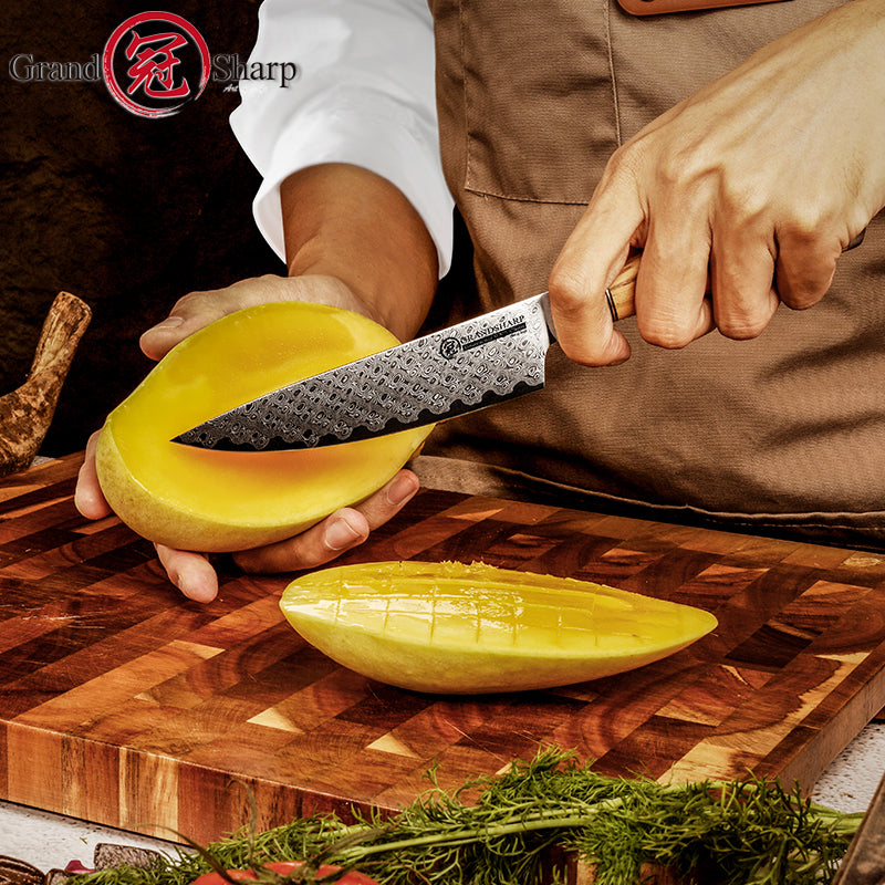 Grandsharp Professional 5 Inch 67 Layers AUS10 Damascus Steel Kitchen Knife Chef Utility Knife with Resin and Oliver Wood Handle