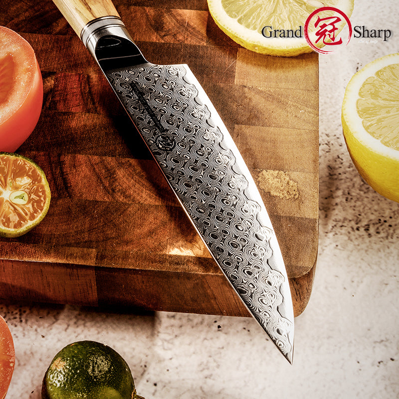Grandsharp Professional 5 Inch 67 Layers AUS10 Damascus Steel Kitchen Knife Chef Utility Knife with Resin and Oliver Wood Handle