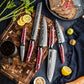 Grandsharp Damascus Steel Chef Kitchen Knife Set Santoku Bread Utility Paring Knife Red Resin Carbon Fiber Handle
