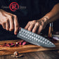 Grandsharp 8 Inch Premium Chef Knife 67 Layers 10Cr15MoV Core Damascus Steel Africa Rose Wood Handle with Gift Box Santoku
