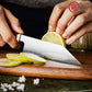 Grandsharp 5.5 Inch Japan ZDP189 Powder Steel Bunka Prep Knife with Mkuruti Wood Handle