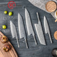 Grandsharp DIY Knife Blade Japanese 67 Layers 10CR15MOV Damascus Steel Knife Blank Blade Set Kitchen Chef Knife Blank Blades