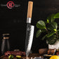 Grandsharp Kitchen Chef Knives Professional AUS10 High Corrosion Resistance Premium Gyuto Chef Knife With Olived Handle