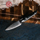 Grandsharp Paring Fruit Kitchen Knife 67 Layers 4 Inch AUS10 Damascus Steel Kitchen Paring Knives with Black Carbon Fiber Handle