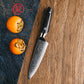 Grandsharp 5.5 Inch Utility Knife 67 Layers AUS10 Damascus Steel Utility Kitchen Knives with Black Handle