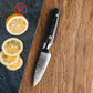 Grandsharp Paring Fruit Kitchen Knife 67 Layers 4 Inch AUS10 Damascus Steel Kitchen Paring Knives with Black Carbon Fiber Handle